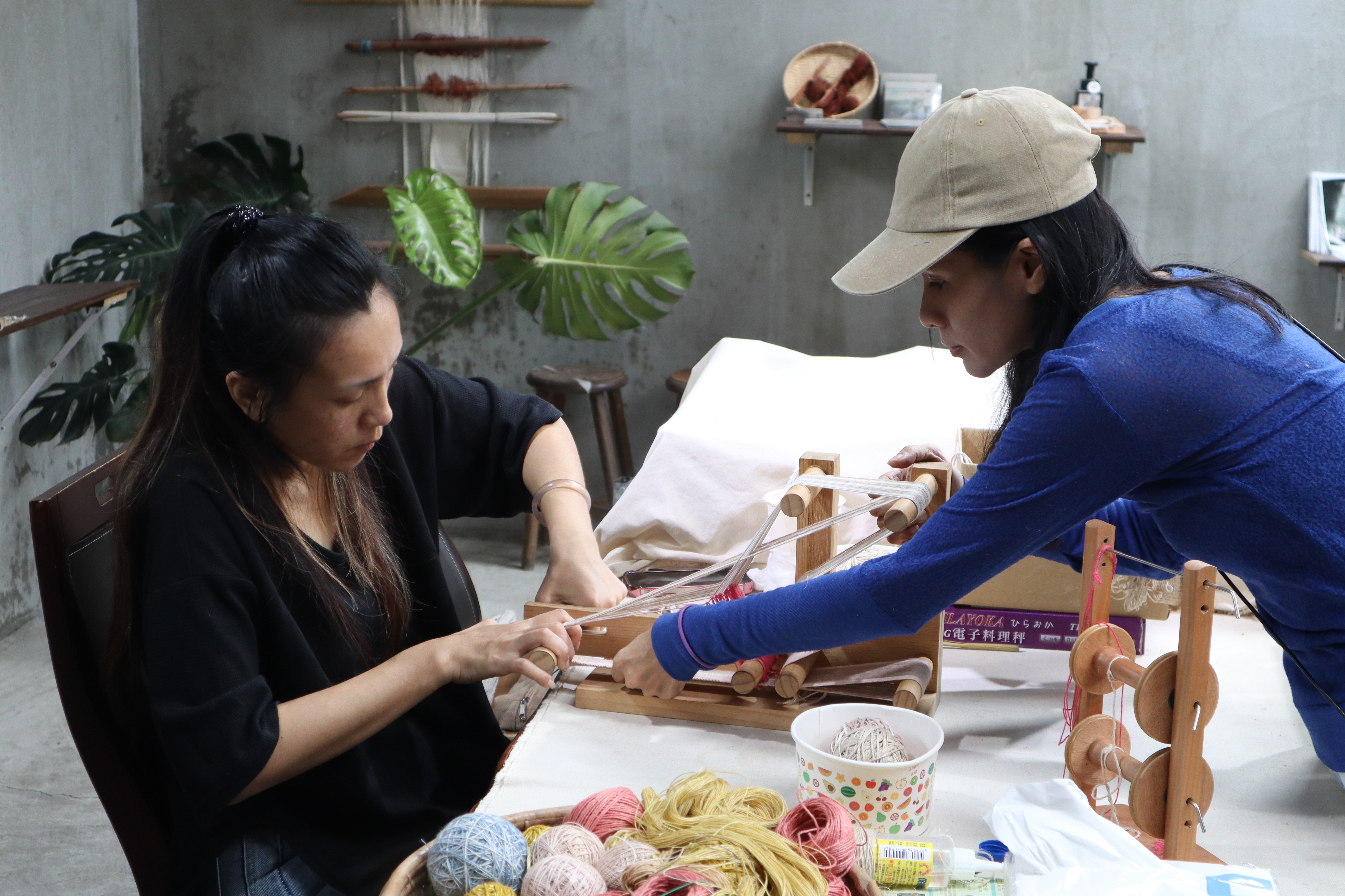 種苧麻 織苧麻 Ahi重振部落編織工藝
